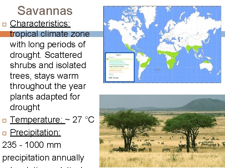 Savannas Characteristics: tropical climate zone with long periods of drought. Scattered shrubs and isolated Savannas Characteristics: tropical climate zone with long periods of drought. Scattered shrubs and isolated