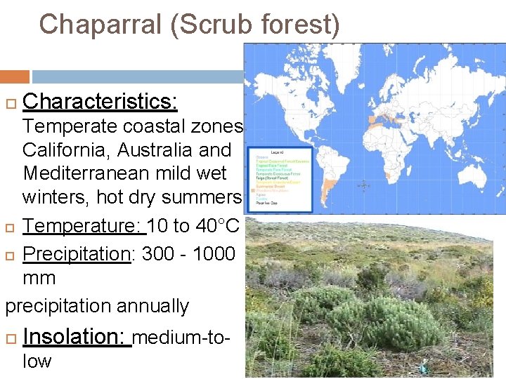 Chaparral (Scrub forest) Characteristics: Temperate coastal zones California, Australia and Mediterranean mild wet winters, Chaparral (Scrub forest) Characteristics: Temperate coastal zones California, Australia and Mediterranean mild wet winters,