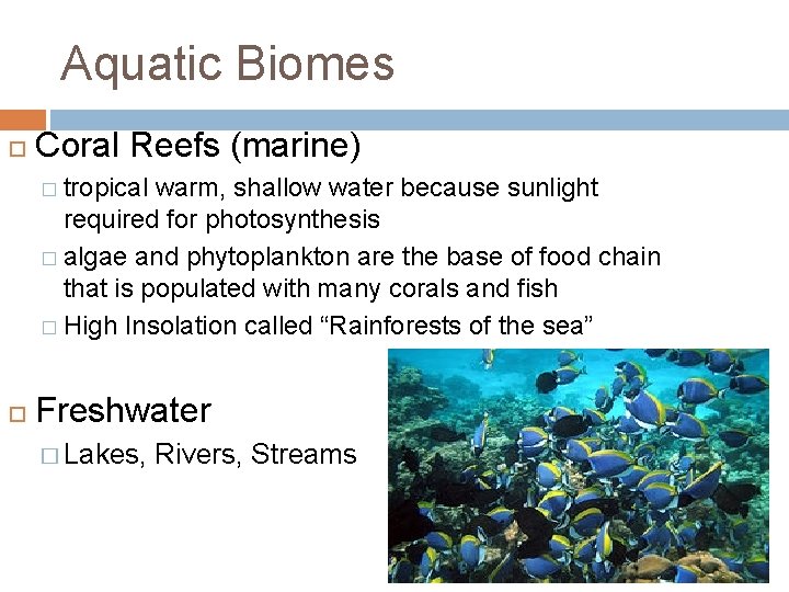 Aquatic Biomes Coral Reefs (marine) � tropical warm, shallow water because sunlight required for Aquatic Biomes Coral Reefs (marine) � tropical warm, shallow water because sunlight required for