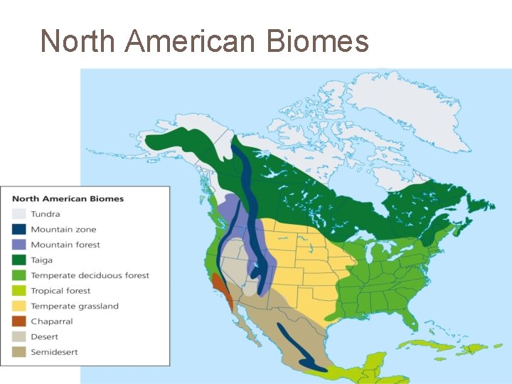 North American Biomes  North American Biomes