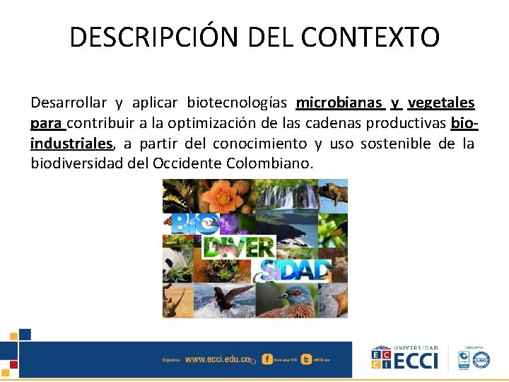 DESCRIPCIÓN DEL CONTEXTO Desarrollar y aplicar biotecnologías microbianas y vegetales para contribuir a la