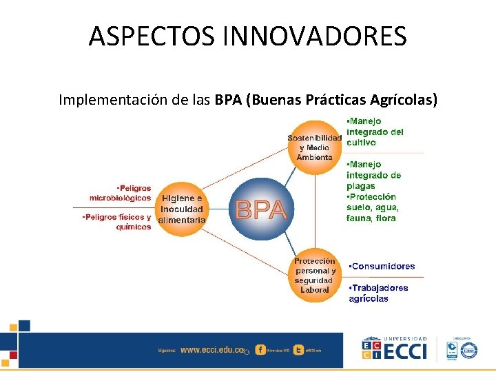 ASPECTOS INNOVADORES Implementación de las BPA (Buenas Prácticas Agrícolas) 