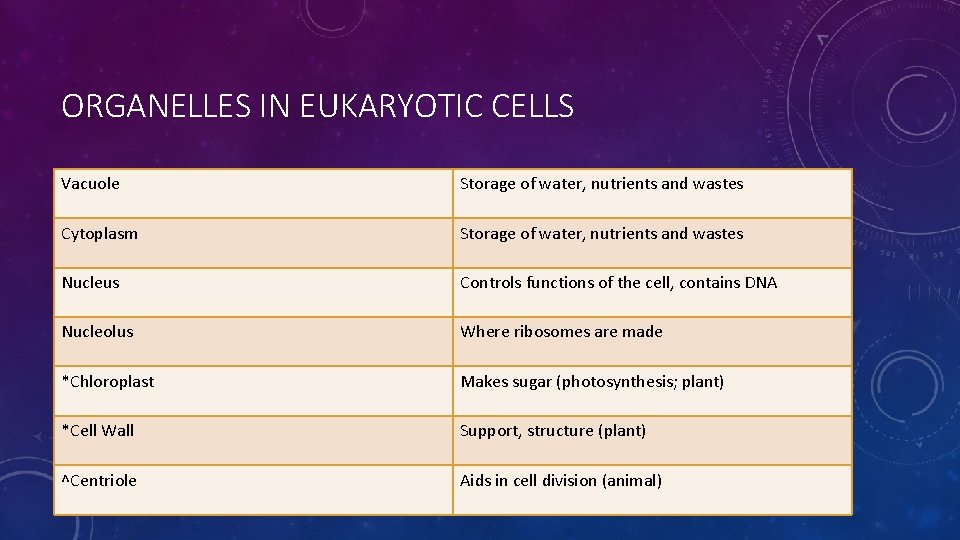 ORGANELLES IN EUKARYOTIC CELLS Vacuole Storage of water, nutrients and wastes Cytoplasm Storage of