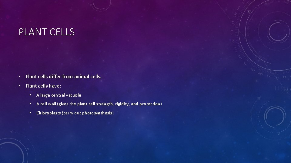 PLANT CELLS • Plant cells differ from animal cells. • Plant cells have: •
