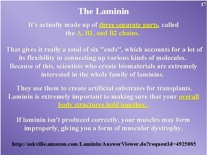 The Laminin 17 It's actually made up of three separate parts, called the A,