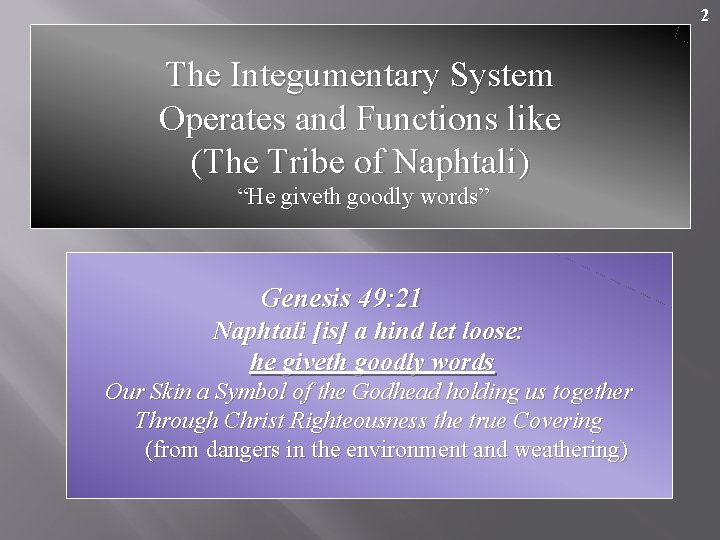 2 The Integumentary System Operates and Functions like (The Tribe of Naphtali) “He giveth