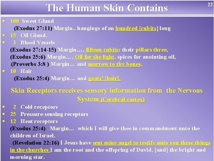 The Human Skin Contains 22 § 100 Sweet Gland (Exodus 27: 11) Margin. .