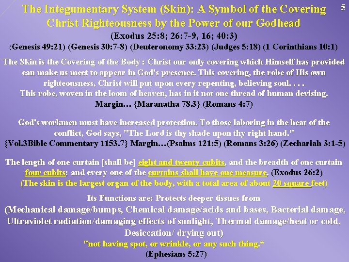 The Integumentary System (Skin): A Symbol of the Covering Christ Righteousness by the Power