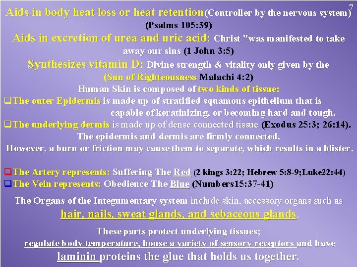 Aids in body heat loss or heat retention(Controller by the nervous system)7 (Psalms 105: