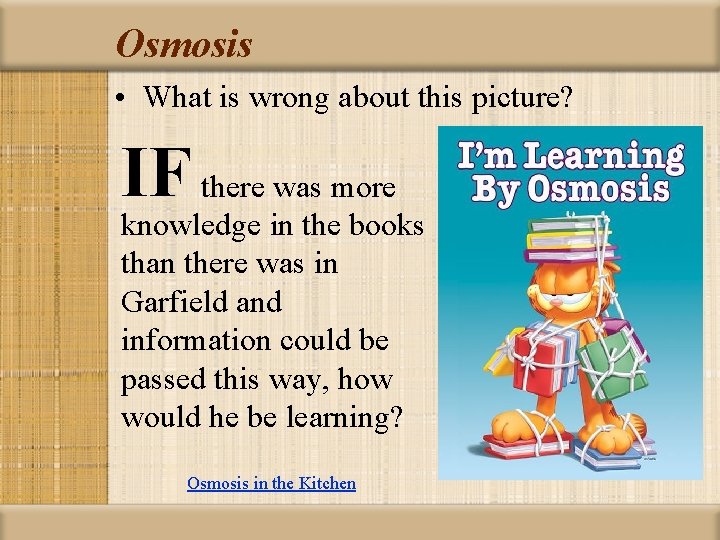 Osmosis • What is wrong about this picture? IF there was more knowledge in