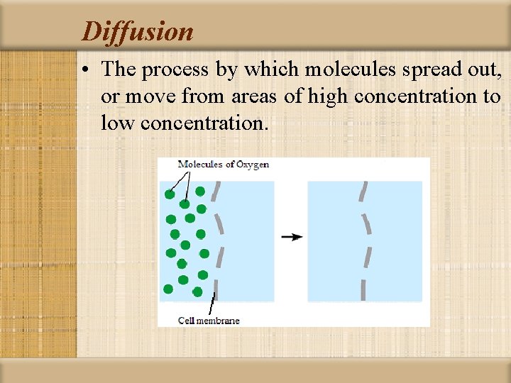 Diffusion • The process by which molecules spread out, or move from areas of