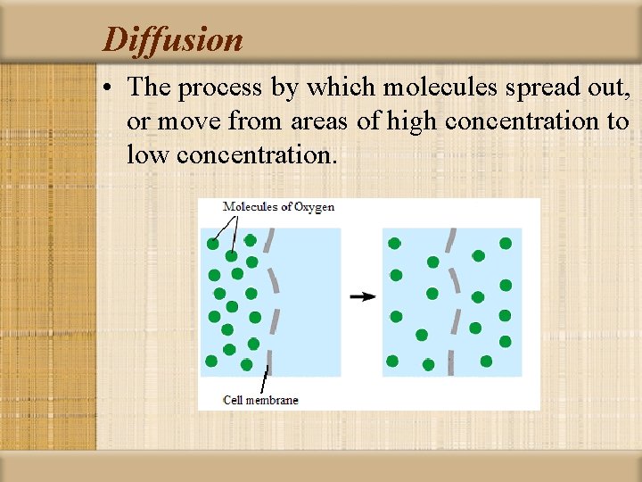 Diffusion • The process by which molecules spread out, or move from areas of