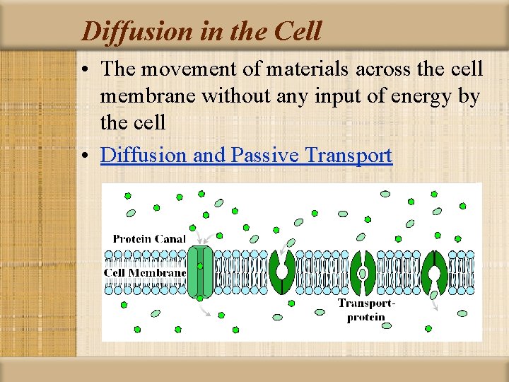 Diffusion in the Cell • The movement of materials across the cell membrane without