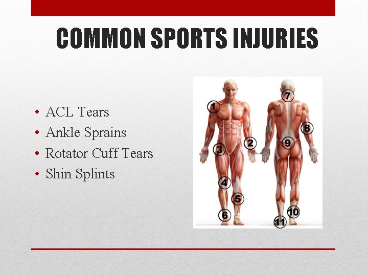 SPORTS TRAINING THE BASICS AND HOW TO BUILD