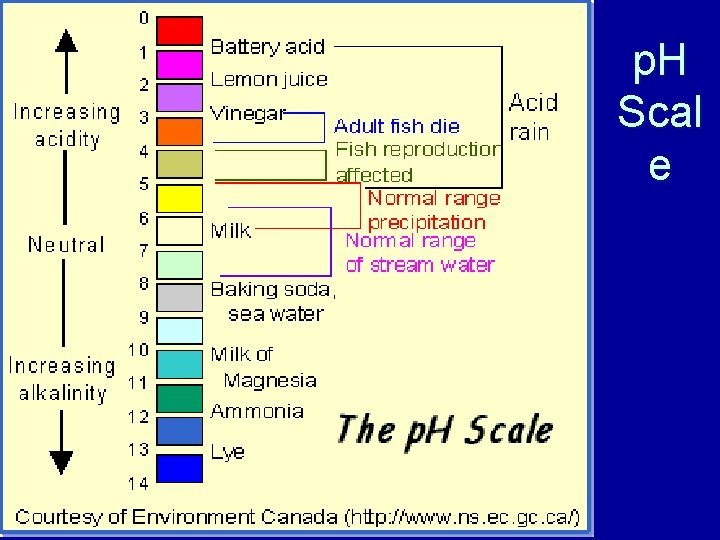 p. H Scal e 