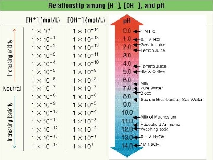 H+, OH-, and p. H 