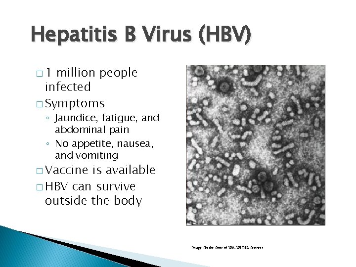 Hepatitis B Virus (HBV) � 1 million people infected � Symptoms ◦ Jaundice, fatigue,