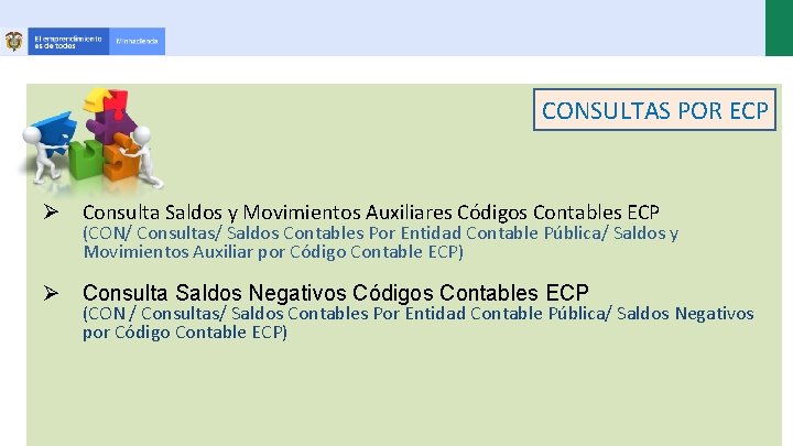 CONSULTAS POR ECP Ø Consulta Saldos y Movimientos Auxiliares Códigos Contables ECP (CON/ Consultas/