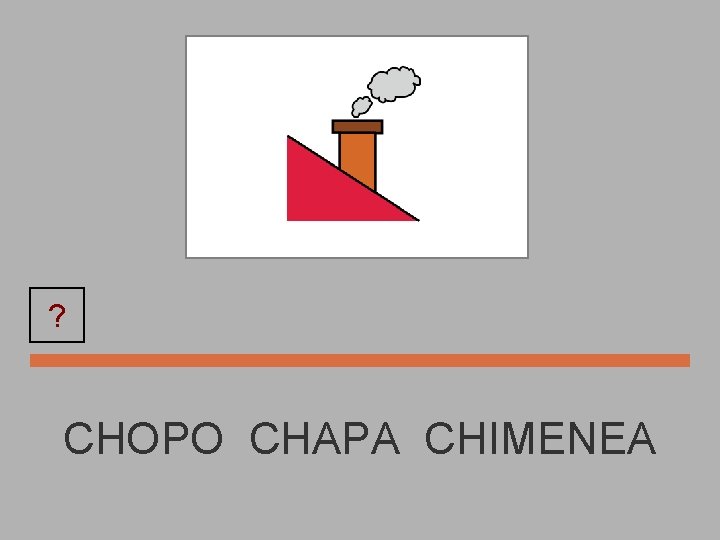 ? CHIMENEA CHOPO CHAPA CHIMENEA 