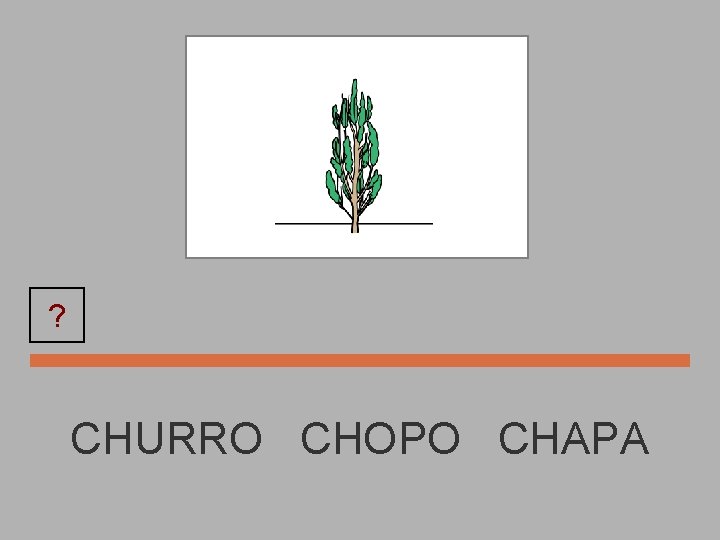 ? CHOPO CHURRO CHOPO CHAPA 