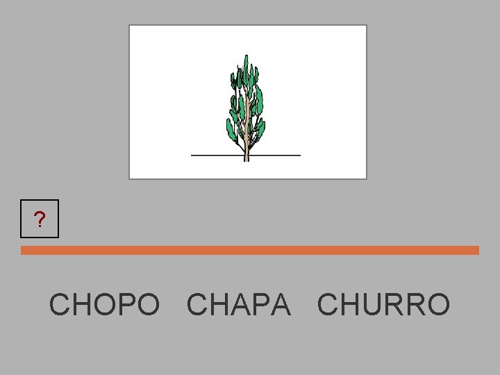 ? CHOPO CHAPA CHURRO 