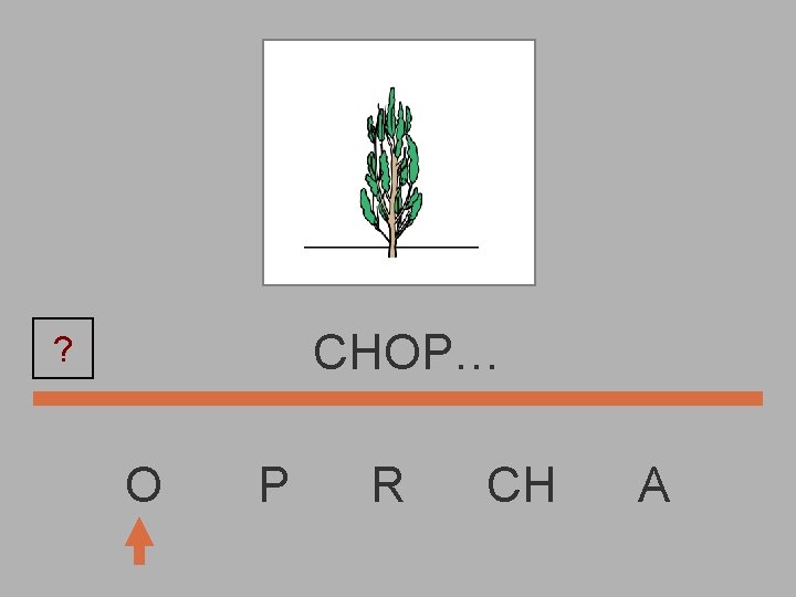 CHOP… ? O P R CH A 
