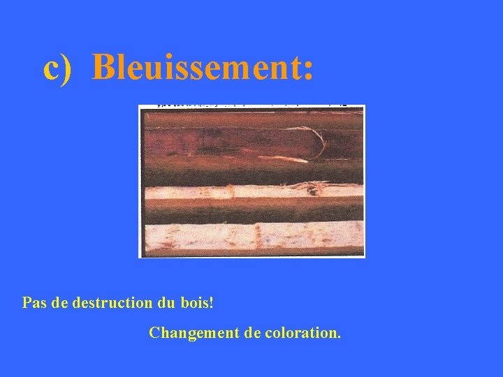 c) Bleuissement: Pas de destruction du bois! Changement de coloration. 