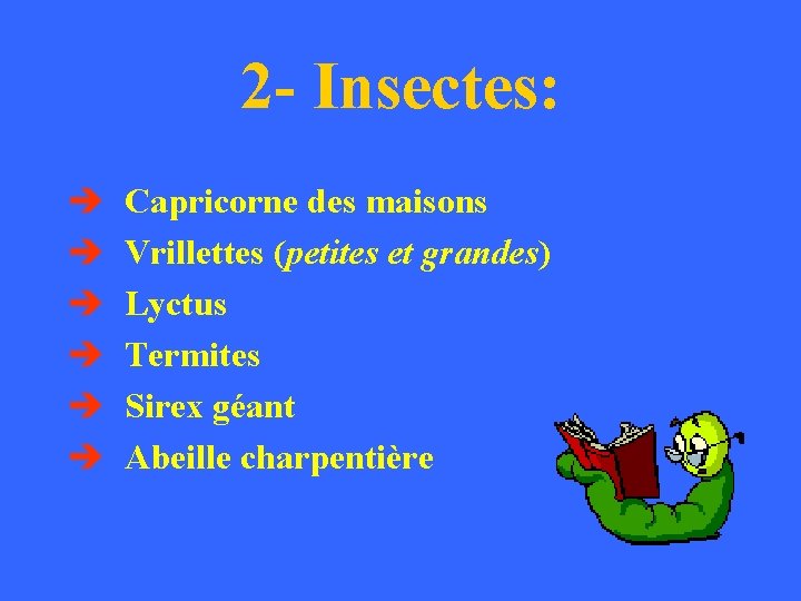 2 - Insectes: Capricorne des maisons Vrillettes (petites et grandes) Lyctus Termites Sirex géant