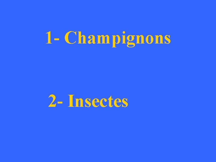 1 - Champignons 2 - Insectes 