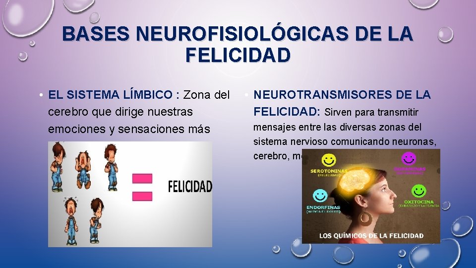 BASES NEUROFISIOLÓGICAS DE LA FELICIDAD • EL SISTEMA LÍMBICO : Zona del cerebro que