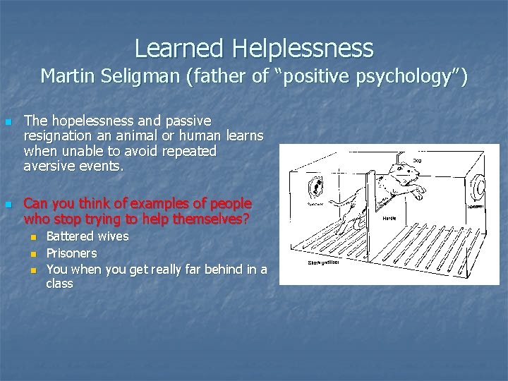 Learned Helplessness Martin Seligman (father of “positive psychology”) n n The hopelessness and passive