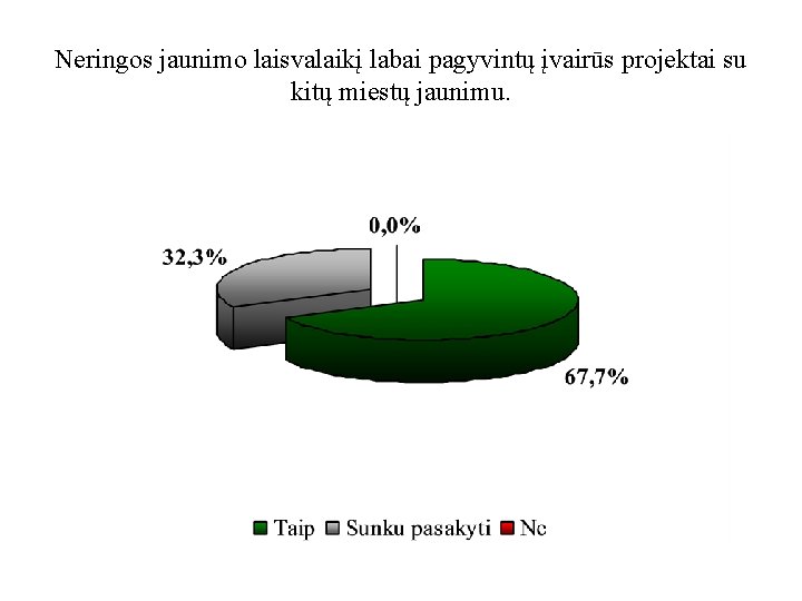 Neringos jaunimo laisvalaikį labai pagyvintų įvairūs projektai su kitų miestų jaunimu. 