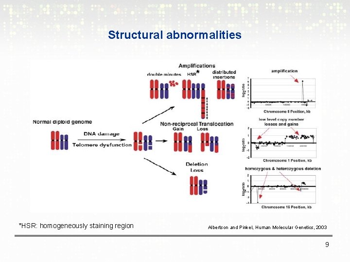 Structural abnormalities * *HSR: homogeneously staining region Albertson and Pinkel, Human Molecular Genetics, 2003