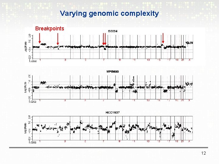 Varying genomic complexity Breakpoints 12 