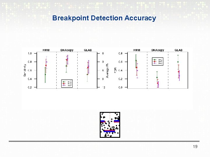 Breakpoint Detection Accuracy 19 