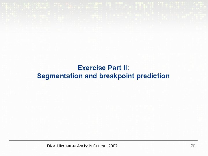 Exercise Part II: Segmentation and breakpoint prediction DNA Microarray Analysis Course, 2007 20 