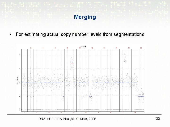 Merging • For estimating actual copy number levels from segmentations DNA Microarray Analysis Course,