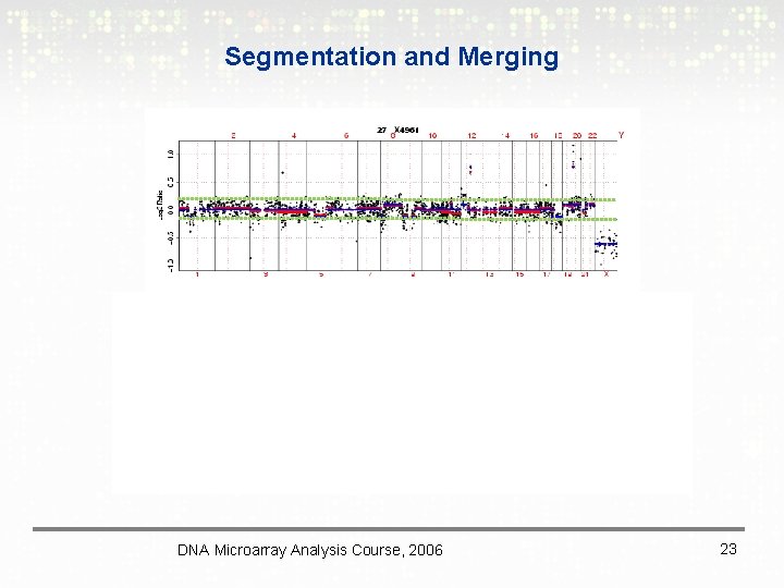 Segmentation and Merging DNA Microarray Analysis Course, 2006 23 