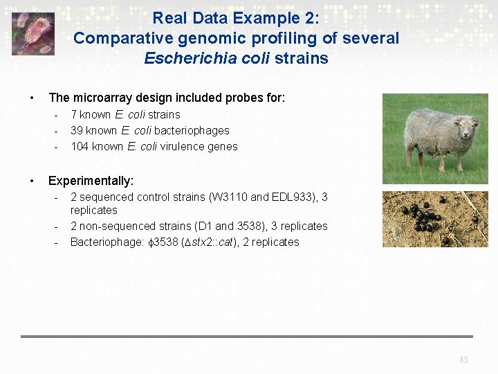 Real Data Example 2: Comparative genomic profiling of several Escherichia coli strains • The