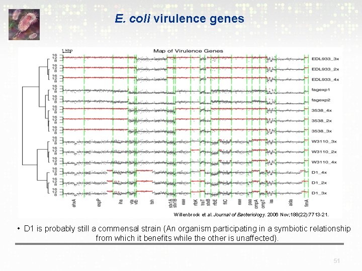 E. coli virulence genes Willenbrock et al. Journal of Bacteriology. 2006 Nov; 188(22): 7713