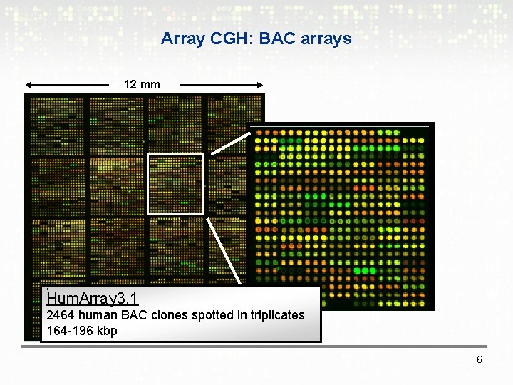 Array CGH: BAC arrays 12 mm Hum. Array 3. 1 2464 human BAC clones