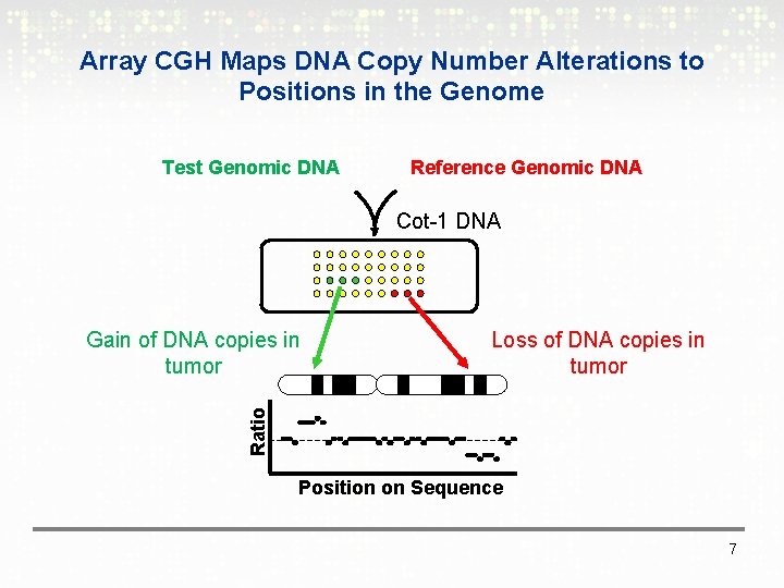 Array CGH Maps DNA Copy Number Alterations to Positions in the Genome Test Genomic