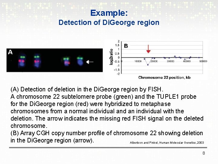 Example: Detection of Di. George region (A) Detection of deletion in the Di. George