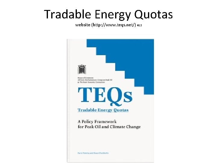 Tradable Energy Quotas website (http: //www. teqs. net/) #12 