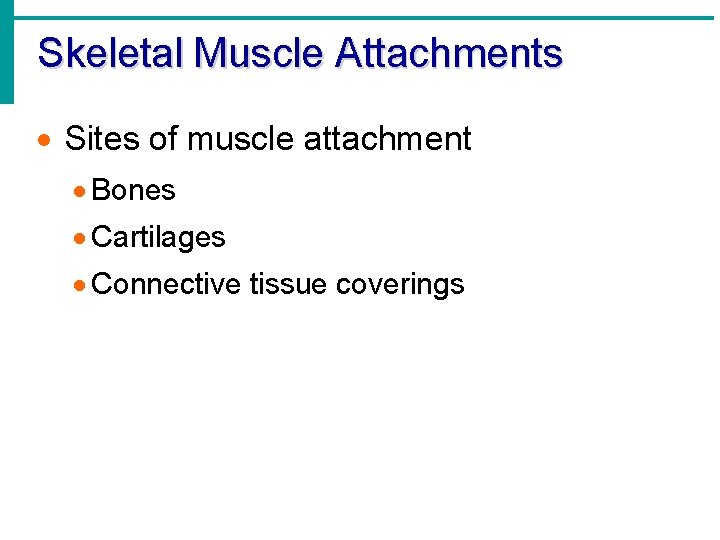 Skeletal Muscle Attachments · Sites of muscle attachment · Bones · Cartilages · Connective