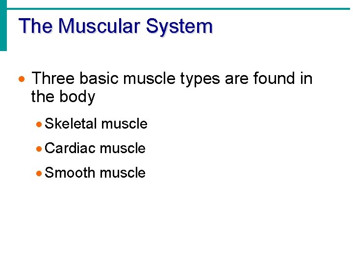 The Muscular System · Three basic muscle types are found in the body ·