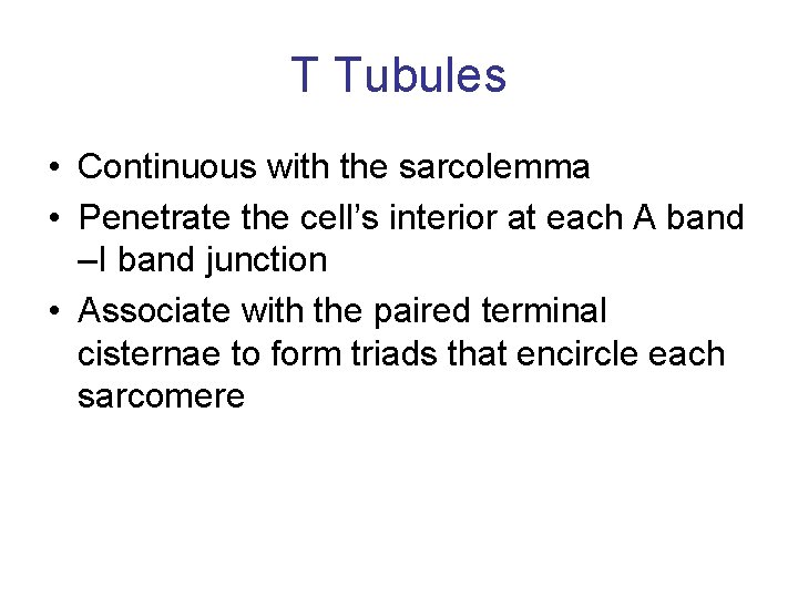 T Tubules • Continuous with the sarcolemma • Penetrate the cell’s interior at each