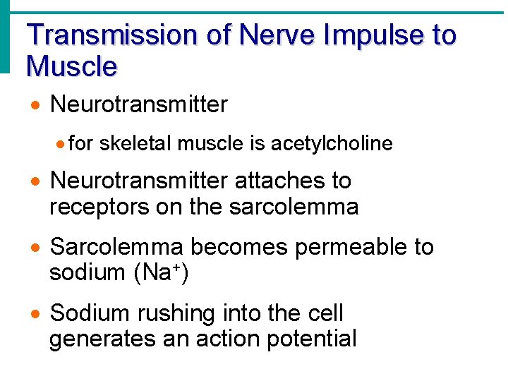 Transmission of Nerve Impulse to Muscle · Neurotransmitter · for skeletal muscle is acetylcholine