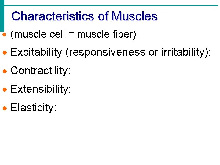 Characteristics of Muscles · (muscle cell = muscle fiber) · Excitability (responsiveness or irritability):