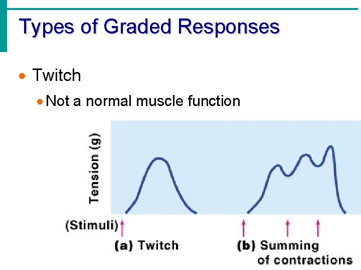 Types of Graded Responses · Twitch · Not a normal muscle function 